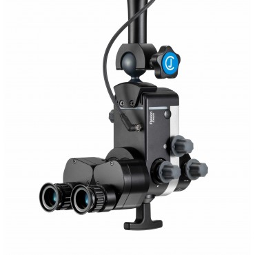 Flexion Exepto Audiology